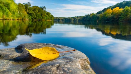 a single yellow leaf rests on a smooth gray rock in the middle of a calm blue water the rock and the leaf contrast with the blurred background of green trees and sky - Powered by Adobe