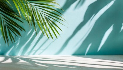 Fototapeta na wymiar blurred shadow from palm leaves on the light blue wall minimal abstract background for product presentation spring and summer