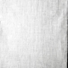 Monochrome white-gray clean canvas texture