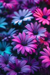 Fototapeta premium Pink and Blue Flowers in a Field