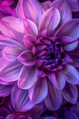 Close Up of a Large Purple Flower