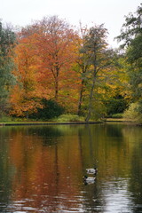 Vibrant and tranquil nature in Denmark
