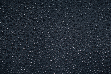 Glistening Water Droplets on Dark Canvas, Close up Shot.