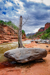 A large gray boulder and dead tree next to Oak Creek in Arizona's red rock country - 763484658