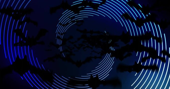 Animation of bats flying and blue spiral spinning on black background