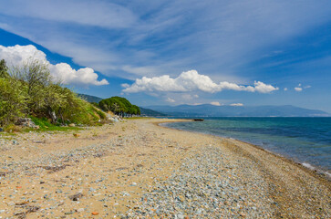 sand and pines on Çamlık Plaj scenic beach and Marmara sea near Kapakli (Yalova province, Turkey) 
