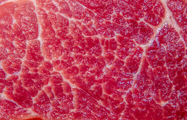Texture of a piece of raw marbled meat