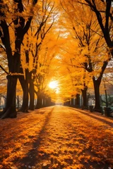 Foto op Plexiglas Scenic autumn landscape with golden forest canopy and meandering asphalt pathway © Aliaksandra