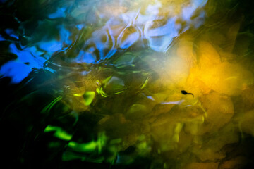 water, nature, light, sun, sea, underwater, green, blue, sky, summer, color, 3d, grass, ocean, wallpaper, night, clouds, art, pattern, leaf, illustration, design, bright, dark, spring