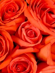 bouquet of red roses