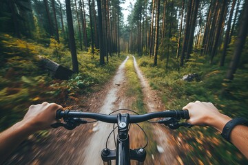 Mountain Biking First-Person View on Forest Trail Adventure - obrazy, fototapety, plakaty