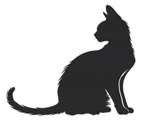 Black silhouette of a cat. Transparent background