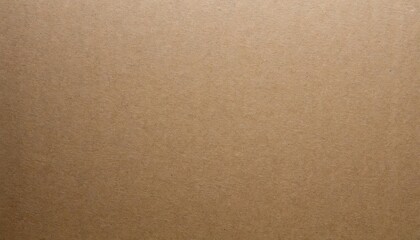 brown cardboard sheet for background