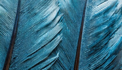 blue feathers with visible details background or texture