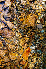 texture, bark, nature, tree, lichen, stone, rock, moss, brown, wall, yellow, old, wood, rough, pattern, surface, natural, plant, forest, textured, autumn, closeup, detail, macro, design