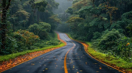 Papier Peint photo autocollant Route en forêt Beautiful Highway Road