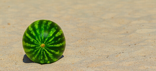 close-up view of a whole, ripe watermelon on a sandy beach, perfect for a summer picnic - 763504843