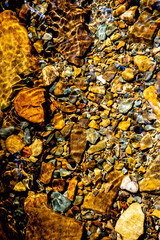 texture, nature, lichen, tree, bark, yellow, moss, abstract, stone, pattern, autumn, closeup, rock, brown, old, wood, natural, plant, forest, macro, rough, surface, wall, leaf, fall