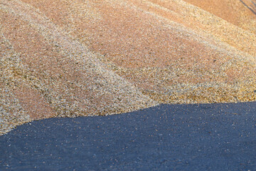 huge heap of ripe wheat grains after harvesting