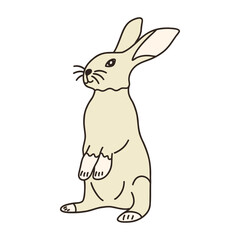 Cute gray hare stands on hind legs. Adorable rabbit, wild forest animal. Easter symbol. Colorful vector isolated illustration hand drawn doodle
