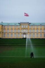 Vibrant and tranquil nature in Denmark
