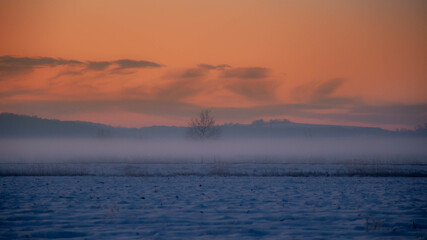Naklejka premium sunset, sea, sun, sky, water, sunrise, ocean, landscape, nature, beach, cloud, clouds, lake, beautiful, horizon, evening, orange, blue, tree, coast, winter, dawn, dusk, summer, reflection