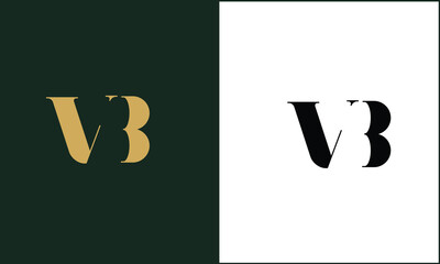 VB, BV, Abstract Letters Logo Monogram