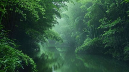 bamboo forests in China, through breathtaking landscape photos that showcase the lush greenery and tranquil atmosphere.