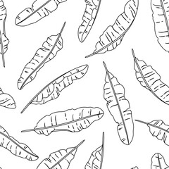 Pattern with banana palm leaves. Decorative image of tropical foliage and plants. - 763513837