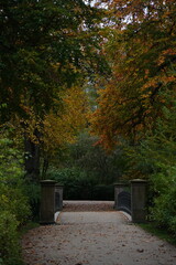Naklejka premium Vibrant and tranquil nature in Denmark
