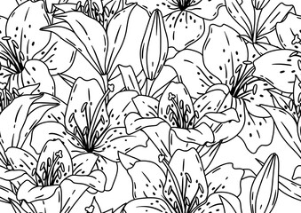 Pattern with lilies flowers. Beautiful decorative plants. - 763517471