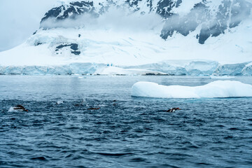 Icebergs in Antarctica on cold winters day