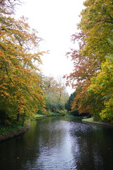 Vibrant and tranquil nature in Denmark