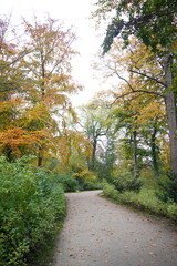Fototapeta premium Vibrant and tranquil nature in Denmark
