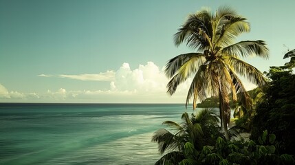 Fototapeta na wymiar Caribbean tropical coast landscape, beach seascape paradise with palm trees