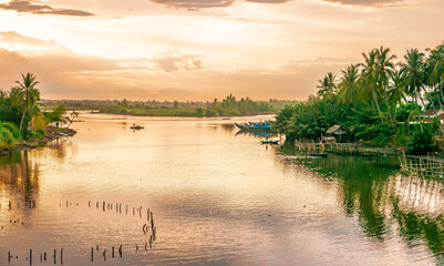 Hoi An, Quang Nam Province, Vietnam: Rice fields by the river