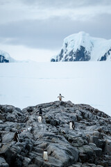 Minimal snowy landscapes from Antarctica  © Michael