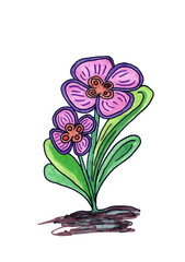 drawn flowers with purple, pink petals and green leaves