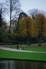 Obraz premium Vibrant and tranquil nature in Denmark