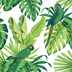 Tropical parrots, bird, green palm leaves floral seamless pattern white background. Exotic jungle wallpaper.	