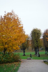 Vibrant and tranquil nature in Denmark
