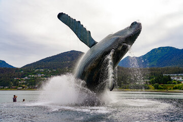 Tahku, a bronze sculpture of a breaching humpback whale in the middle of an infinity pool celebrating 50 years of Alaska Statehood in Overstreet Park on the waterfront of Juneau, Alaska, USA - obrazy, fototapety, plakaty