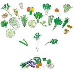 Angry of the face by vegetables illustration