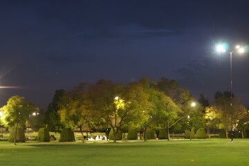 A park at night with a group of people sitting on benches