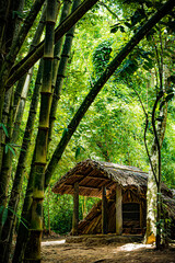 Ho Chi Minh City, Vietnam: Cabin in Cu Chi Tunnels