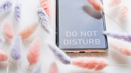 Modern smartphone with inscription do not disturb and fluffy red and blue dried flowers on white....