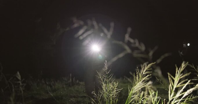 Search, flashlight and investigator at night for crime investigation, clues and missing person in nature or outdoor. People or detective walking, teamwork and inspection on a field or park in dark