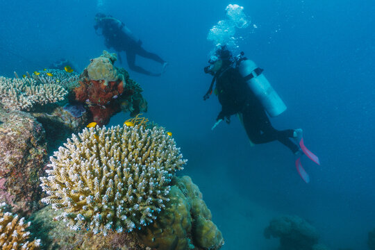 A man is diving in the ocean with a tank on his back. The ocean is blue and the man is surrounded by coral