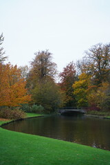 Vibrant and tranquil nature in Denmark