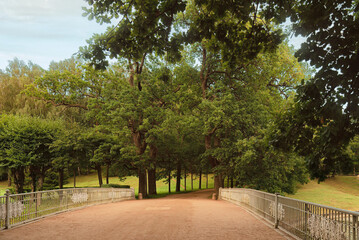Fototapeta premium A walk through the Pavlovsky Park in St. Petersburg in summer.